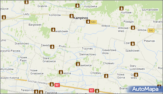 mapa Trzciniec gmina Leszno, Trzciniec gmina Leszno na mapie Targeo