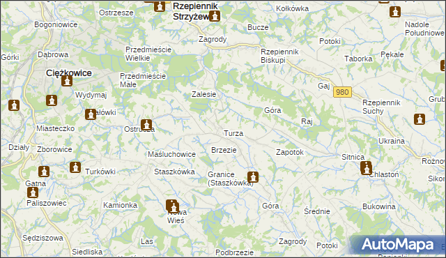 mapa Turza gmina Rzepiennik Strzyżewski, Turza gmina Rzepiennik Strzyżewski na mapie Targeo