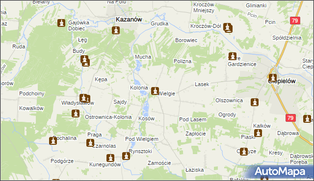 mapa Wielgie gmina Ciepielów, Wielgie gmina Ciepielów na mapie Targeo