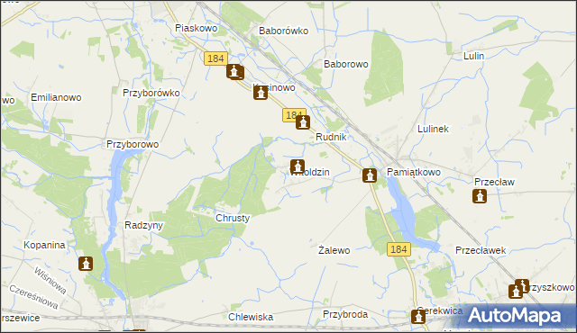 mapa Witoldzin gmina Szamotuły, Witoldzin gmina Szamotuły na mapie Targeo