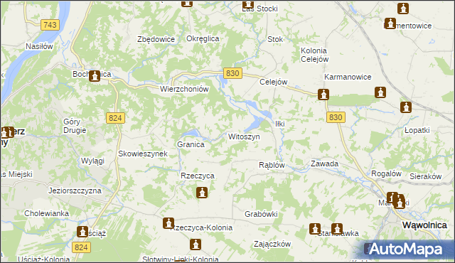 mapa Witoszyn gmina Kazimierz Dolny, Witoszyn gmina Kazimierz Dolny na mapie Targeo
