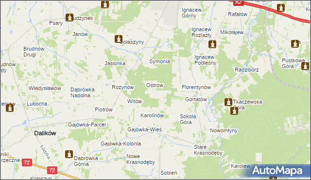 mapa Włodzimierzów gmina Dalików, Włodzimierzów gmina Dalików na mapie Targeo