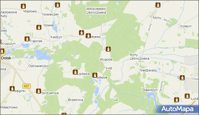 mapa Wygoda gmina Dolsk, Wygoda gmina Dolsk na mapie Targeo