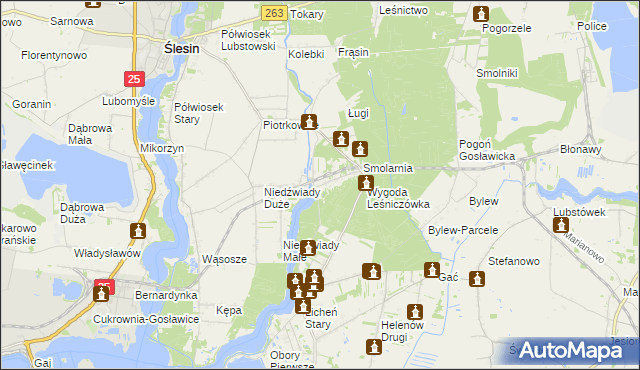 mapa Wygoda gmina Ślesin, Wygoda gmina Ślesin na mapie Targeo