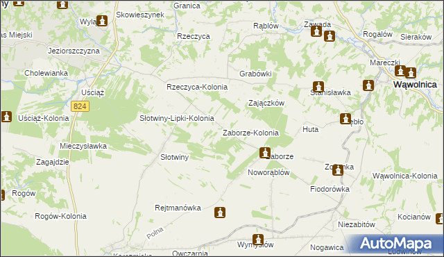 mapa Zaborze-Kolonia, Zaborze-Kolonia na mapie Targeo