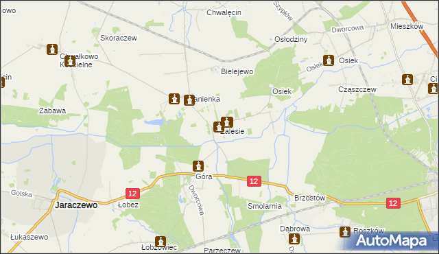 mapa Zalesie gmina Jaraczewo, Zalesie gmina Jaraczewo na mapie Targeo