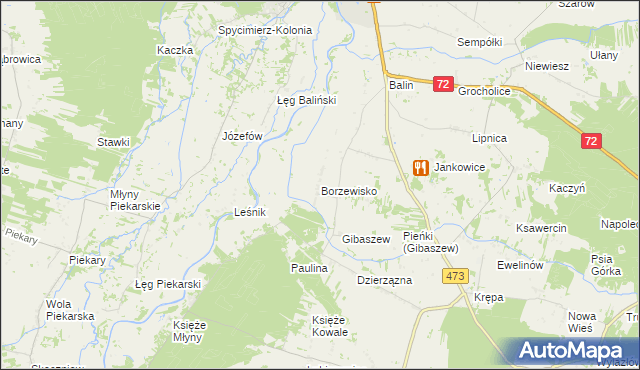 mapa Borzewisko gmina Poddębice, Borzewisko gmina Poddębice na mapie Targeo