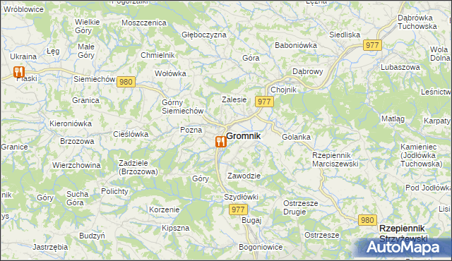 mapa Gromnik powiat tarnowski, Gromnik powiat tarnowski na mapie Targeo