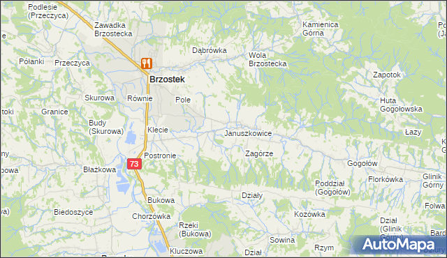 mapa Januszkowice gmina Brzostek, Januszkowice gmina Brzostek na mapie Targeo