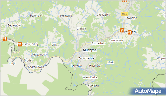mapa Muszyna, Muszyna na mapie Targeo