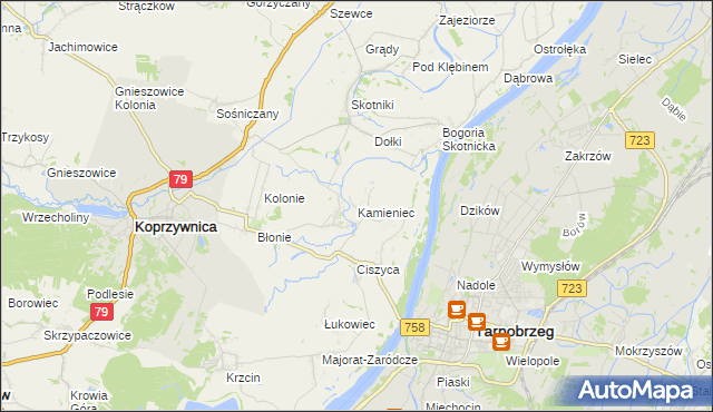 mapa Kamieniec gmina Koprzywnica, Kamieniec gmina Koprzywnica na mapie Targeo