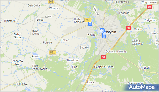 mapa Strzałki gmina Gostynin, Strzałki gmina Gostynin na mapie Targeo