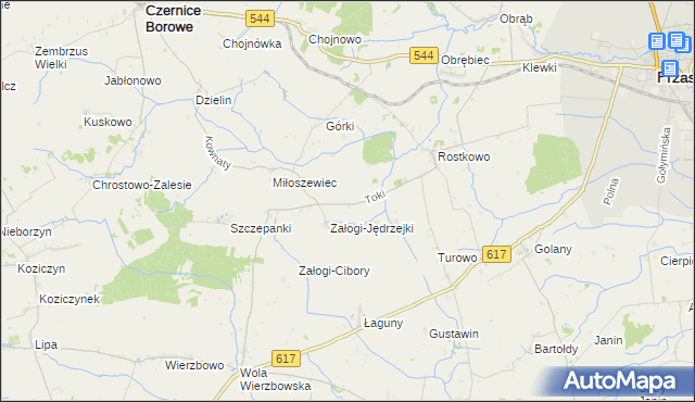 mapa Toki gmina Czernice Borowe, Toki gmina Czernice Borowe na mapie Targeo