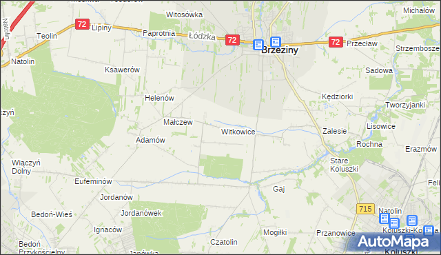 mapa Witkowice gmina Brzeziny, Witkowice gmina Brzeziny na mapie Targeo