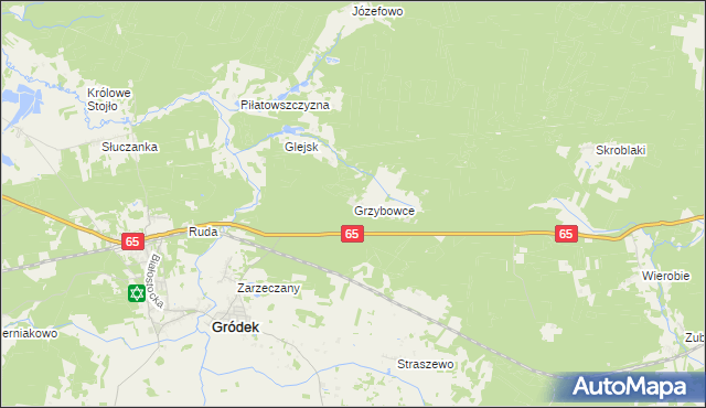 mapa Grzybowce, Grzybowce na mapie Targeo