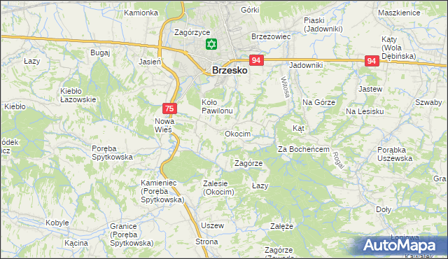 mapa Okocim, Okocim na mapie Targeo