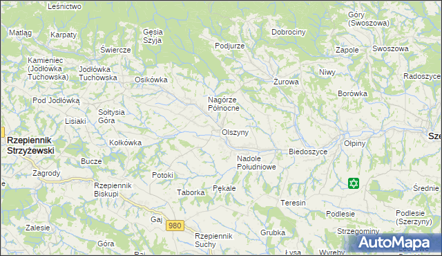mapa Olszyny gmina Rzepiennik Strzyżewski, Olszyny gmina Rzepiennik Strzyżewski na mapie Targeo