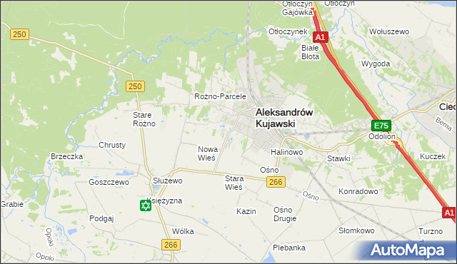 mapa Rudunki gmina Aleksandrów Kujawski, Rudunki gmina Aleksandrów Kujawski na mapie Targeo