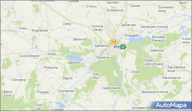 mapa Słowików gmina Przytyk, Słowików gmina Przytyk na mapie Targeo