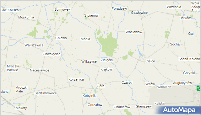 mapa Zielęcin gmina Warta, Zielęcin gmina Warta na mapie Targeo
