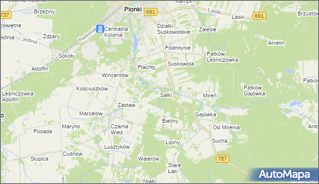 mapa Sałki gmina Pionki, Sałki gmina Pionki na mapie Targeo