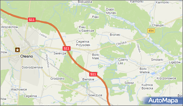 mapa Borki Małe gmina Olesno, Borki Małe gmina Olesno na mapie Targeo