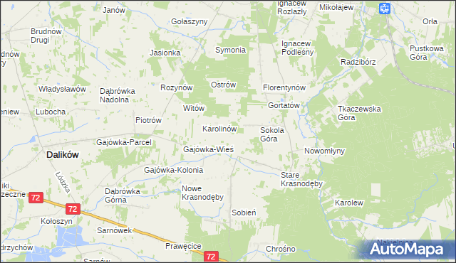 mapa Anastazew gmina Parzęczew, Anastazew gmina Parzęczew na mapie Targeo