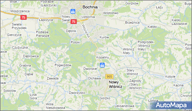 mapa Kopaliny gmina Nowy Wiśnicz, Kopaliny gmina Nowy Wiśnicz na mapie Targeo