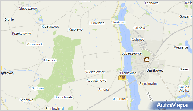 mapa Dobieszewiczki, Dobieszewiczki na mapie Targeo