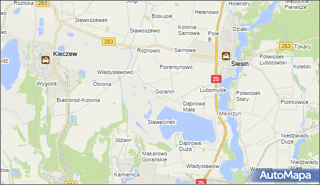 mapa Goraninek gmina Ślesin, Goraninek gmina Ślesin na mapie Targeo