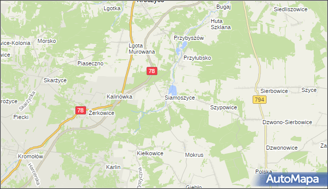 mapa Siamoszyce, Siamoszyce na mapie Targeo