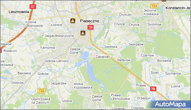 mapa Żabieniec gmina Piaseczno, Żabieniec gmina Piaseczno na mapie Targeo