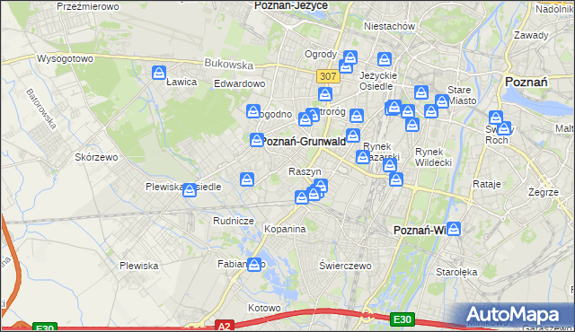 mapa Raszyn gmina Poznań, Raszyn gmina Poznań na mapie Targeo