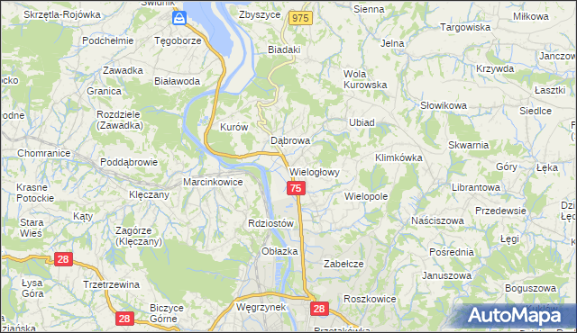 mapa Wielogłowy gmina Chełmiec, Wielogłowy gmina Chełmiec na mapie Targeo