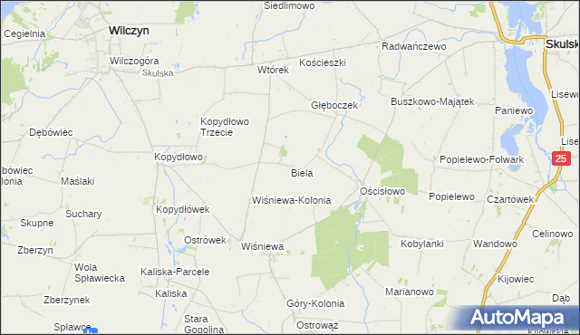 mapa Biela gmina Wilczyn, Biela gmina Wilczyn na mapie Targeo