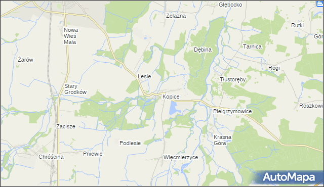 mapa Kopice gmina Grodków, Kopice gmina Grodków na mapie Targeo