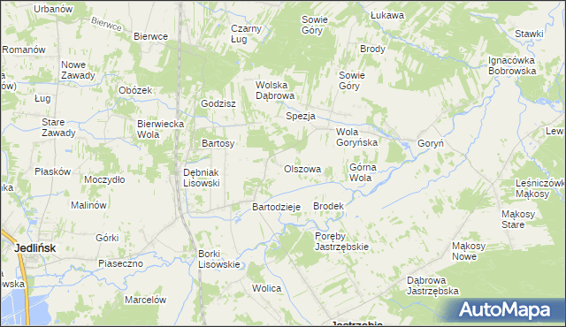 mapa Olszowa gmina Jastrzębia, Olszowa gmina Jastrzębia na mapie Targeo