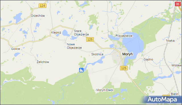 mapa Skotnica gmina Moryń, Skotnica gmina Moryń na mapie Targeo