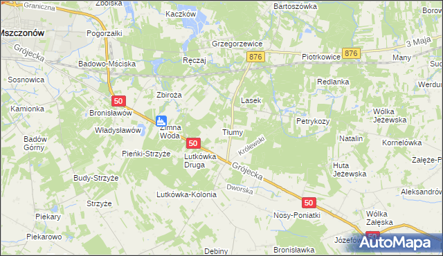 mapa Tłumy gmina Mszczonów, Tłumy gmina Mszczonów na mapie Targeo
