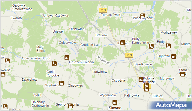 mapa Antoninów gmina Sławno, Antoninów gmina Sławno na mapie Targeo