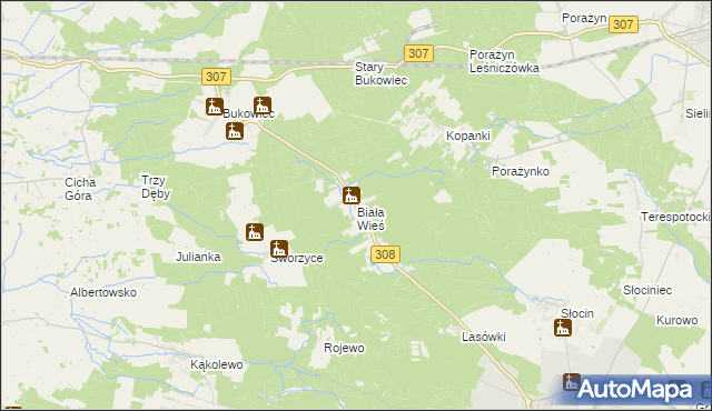 mapa Biała Wieś gmina Grodzisk Wielkopolski, Biała Wieś gmina Grodzisk Wielkopolski na mapie Targeo