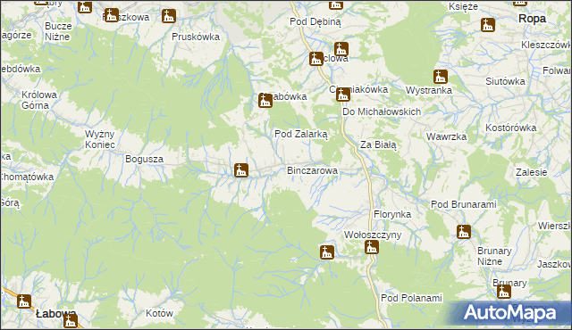 mapa Binczarowa, Binczarowa na mapie Targeo