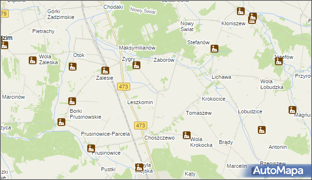 mapa Bogucice gmina Zadzim, Bogucice gmina Zadzim na mapie Targeo