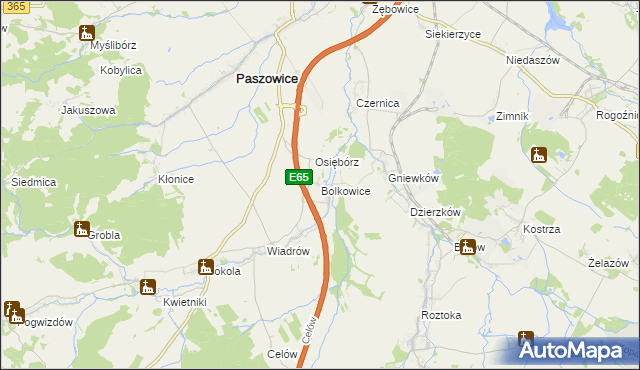 mapa Bolkowice gmina Paszowice, Bolkowice gmina Paszowice na mapie Targeo