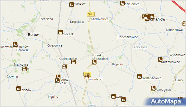 mapa Borek Strzeliński, Borek Strzeliński na mapie Targeo
