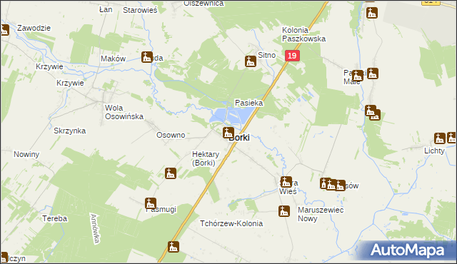 mapa Borki powiat radzyński, Borki powiat radzyński na mapie Targeo