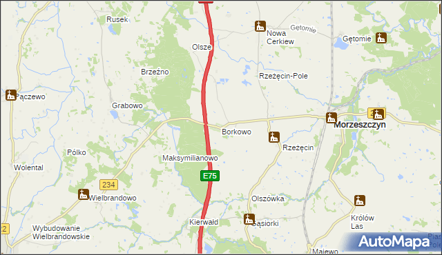 mapa Borkowo gmina Morzeszczyn, Borkowo gmina Morzeszczyn na mapie Targeo