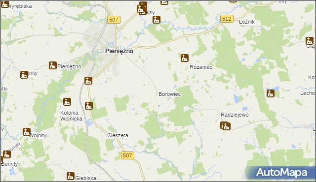 mapa Borowiec gmina Pieniężno, Borowiec gmina Pieniężno na mapie Targeo