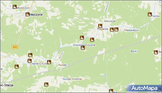 mapa Borowiki, Borowiki na mapie Targeo