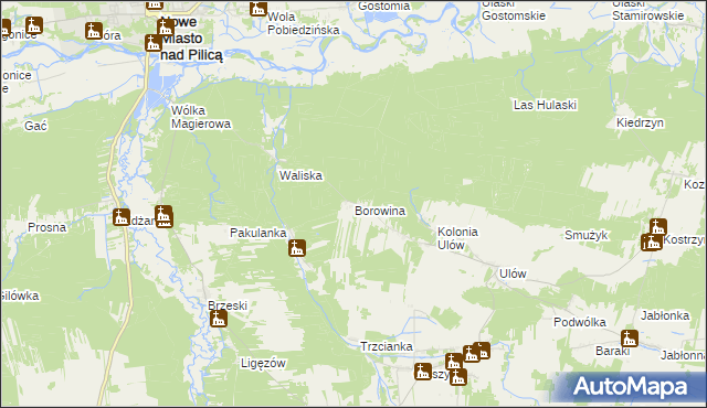 mapa Borowina gmina Nowe Miasto nad Pilicą, Borowina gmina Nowe Miasto nad Pilicą na mapie Targeo